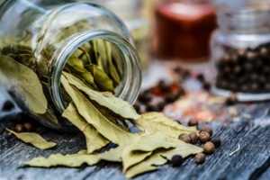 HERBS 2