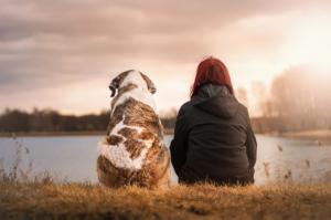 pals