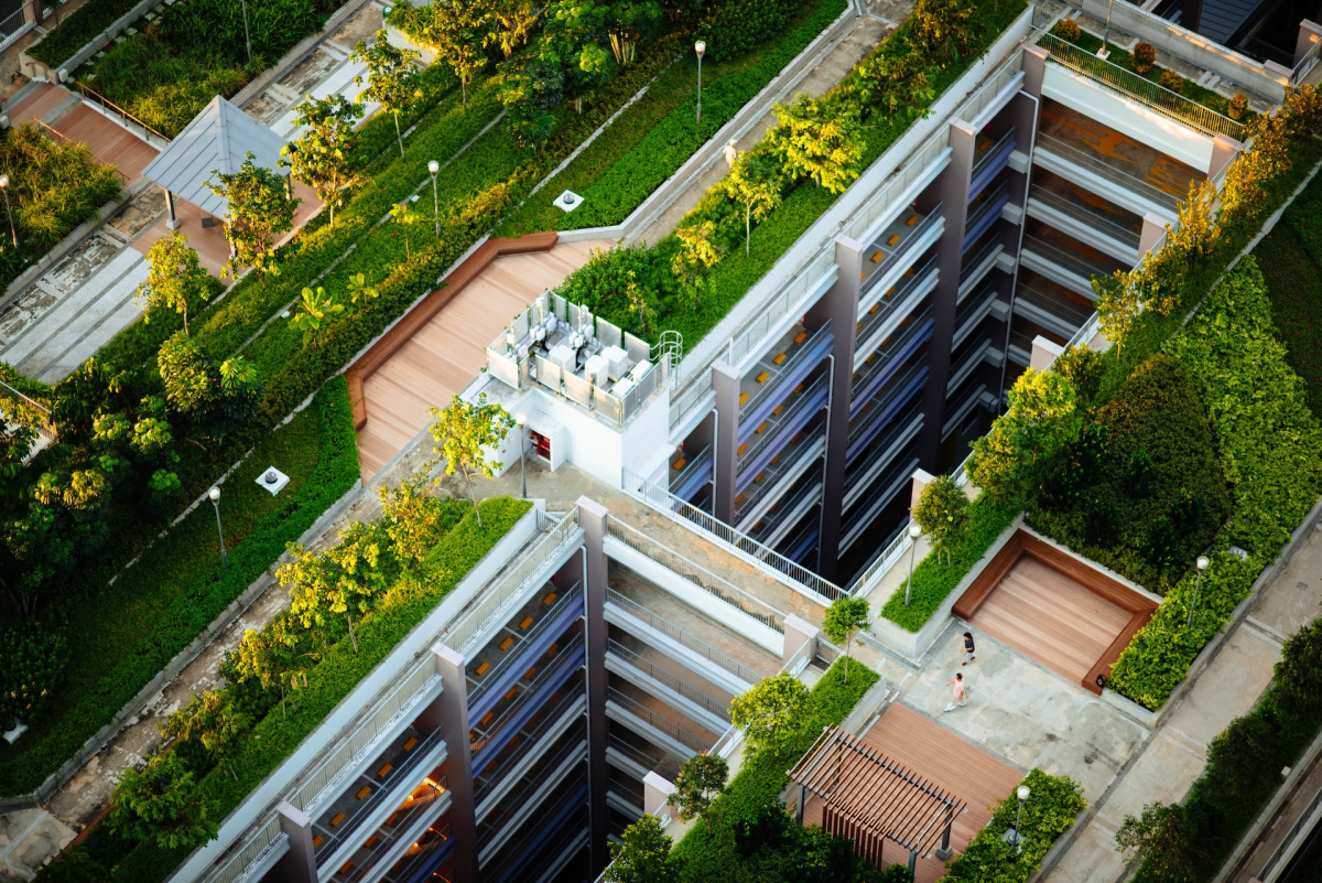 The Beauty of Installing Green Roofs for Your Building